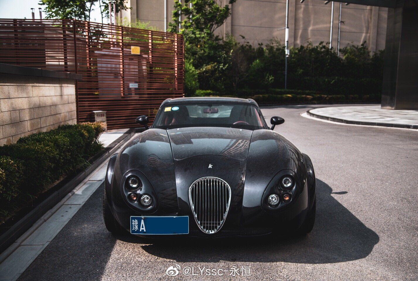 复古小壁虎 威兹曼gt br /> 在国内保有量应该和拉法差不多吧 - 车友