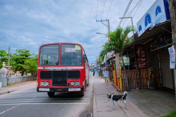 尼甘布 | 斯里兰卡第一站,朴素的西部港市
尼甘布是大多数游玩斯里兰卡游客的第一站,因为这里距离科伦坡机场只有十几公里,几十
分钟便可到达。
📍尼甘布非常小,所以人们来到这里常常也只是短暂停留,这里有许多小旅馆供游客中转。
值得提醒的是尼甘布很多旅馆里的插座是万国插座上所没有的,需要单独购买,尼甘布的小商店里就有卖,几块钱一个。
🔸走在尼甘布的街道上,路两旁色彩丰富而随意的房屋,肆意伸展的各类植物便凸显了这个国家的自由与随性,似乎没有什么太多的拘谨,想怎样就怎样,一只又一只的狗狗临街而睡,有人光脚骑着自行车,公交车门也不会关,tutu车随街停着,车主一次又一次的向路人问好招揽着生意。
🔸一路前行,短短的一段路上有着破旧的小卖部,却也有着精致的小庭院,在较大的差距下,我们所见到的人都有一种独特的气质,这也是整个斯里兰卡行程中这里的人给我最多的感觉:安于当下,不慌不忙。
无论是街边摆摊者或是车子上的行人,你不觉他们苦,也不觉得他们躁,只觉得很安静,我想这也是独属于这里的一种气质。
🔸尼甘布也靠海,但这里的沙滩并不大优质,早晨有鱼市可以参观,平时如果时间充足可以顺路去看看,如果时间紧促,也无需特意前往。