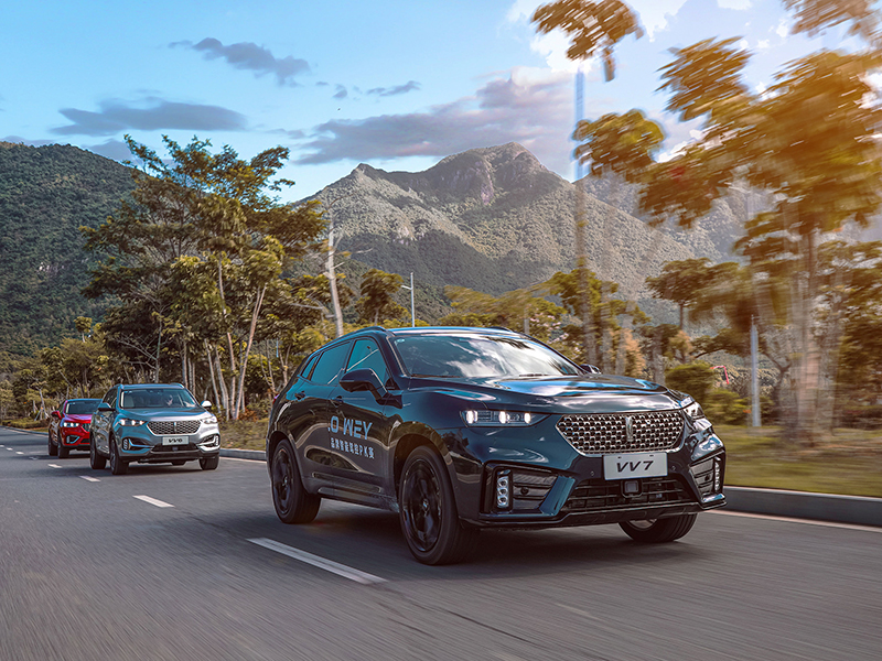 一次性试遍所有车型  自主豪华品牌凭实力圈粉