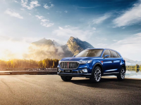 2020 大变局中向阳而生 红旗品牌韧性成长