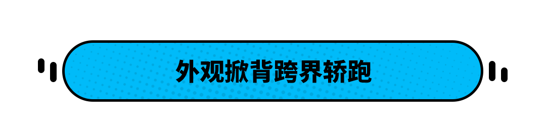 这4.5s破百新车 尺寸接近奥迪A6L 但可能不值？