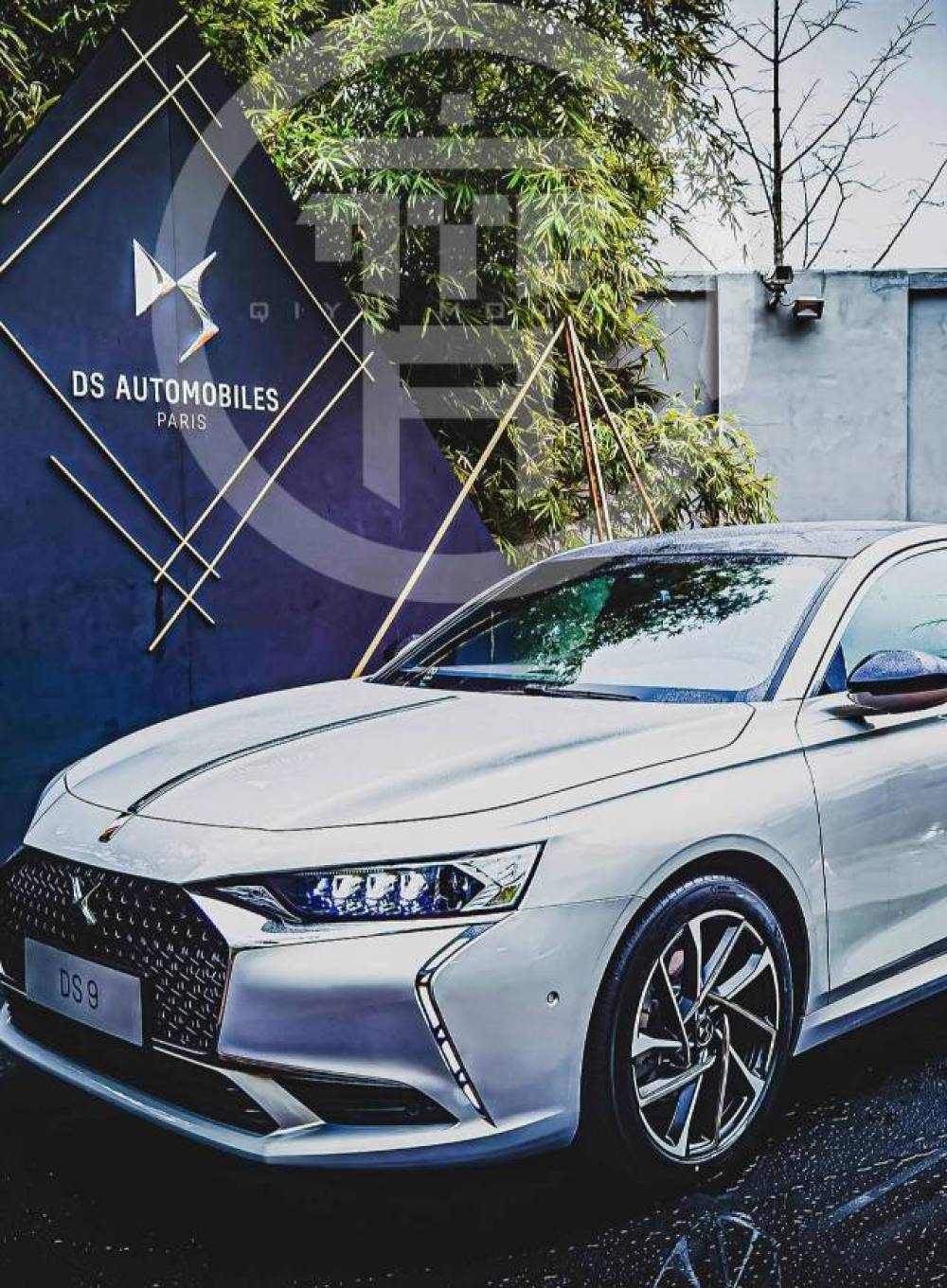 Ds Ds