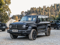 ​长城：你们别下订了  我这边快生产不过来了！