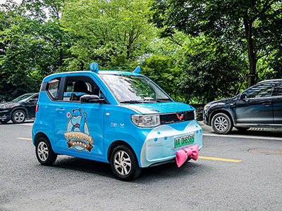 阿里动物园跨界大联动,宏光MINIEV潮变盒马配送车!