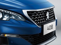 汤药都不换 还能让标致重振狮风？