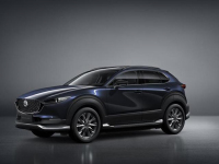 最大续航仅450km 马自达国内首款纯电车型正式上市 电车也能人马合一？