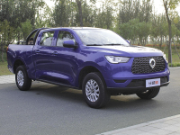 这些车我们看不起 老外抢着要？