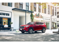 比亚迪宋力压特斯夺得销冠！哈弗H6淡定拿第一？长安双雄合力输出6万多台！