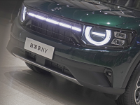 自游家NV：努力切入赛道的新人！