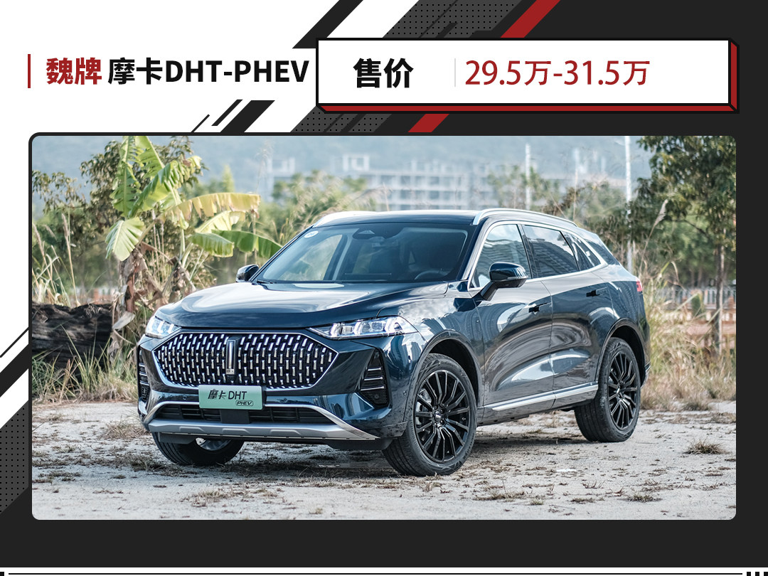 近3米轴距 百公里加速4.8秒！摩卡DHT-PHEV正式上市！