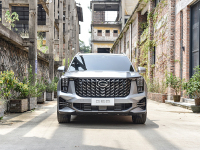 20万家用选它最好？车没大梁会不会断？教授Q&A第二集！