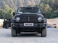 后浪来了！这些车把前辈的销冠都抢走了！