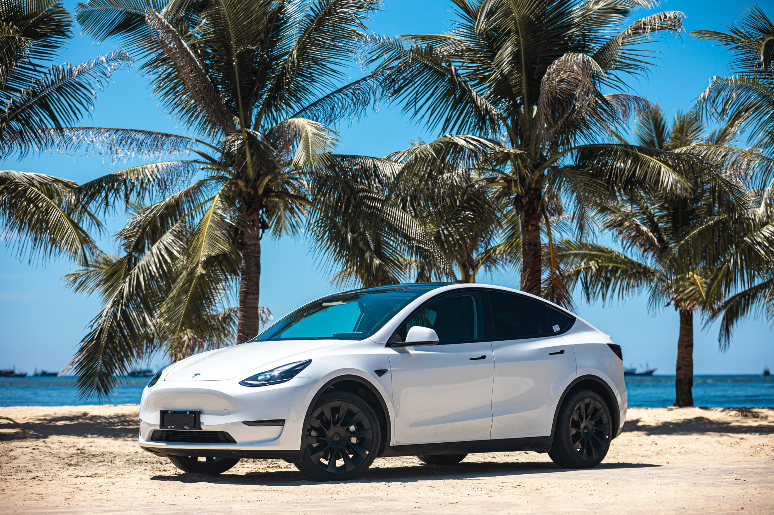 省钱省心省事五一南粤出行特斯拉加电保驾