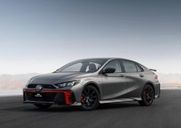 一只进化的“豹子” 我竟然觉得很容易“驯服”