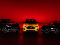 电马和油马都能用的高颜值套装 熏黑的加成颜值翻倍