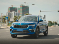 开柯迪亚克把风筝送上天 这是教授今年最酷的事儿！