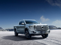 大型高性能豪华皮卡山海炮重磅上市 售价22.88万起