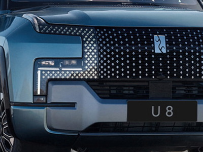 上至百万 下至万元级！今年最值得期待的中国硬派SUV