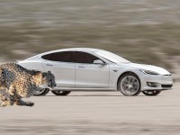 电动车百公里加速的超强成绩有水分？真相原来是这样！