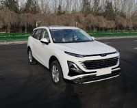 搭载两种动力 一汽奔腾T90申报图曝光