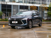 售13.99万 东风风行游艇新增车型上市