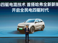 两驱的价格 买四驱的效果 长城新能源翻身就靠它?