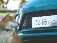 现场气氛太热烈！别克昂扬GS宠物出行专车现身遭“围堵”！