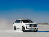 奇瑞王登场!标配2.0T的豪华SUV 打赢合资对手?