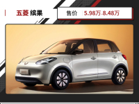 接棒宏光MINIEV,五菱缤果月销19112台,全靠颜值在内卷?