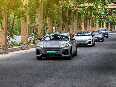 这个夏天去哪里？长安智电iDD带你一起寻味新疆！