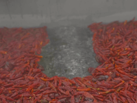 来重庆吃火锅？这次煮的可是电池！